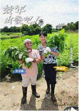 极限挑战 在线观看